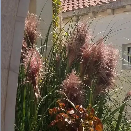 Appartamento La Casa Mayla-family Oasis With Garden,gym,ps5 & Parking *